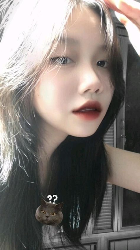 重紫电视剧免费观看全集高清